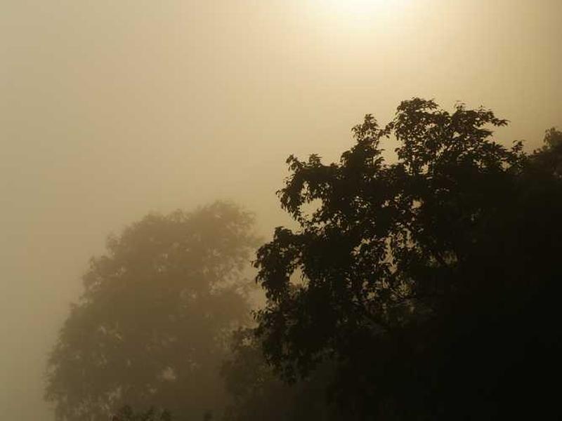 Mẹo chọn số may mắn dựa trên ngày sinh