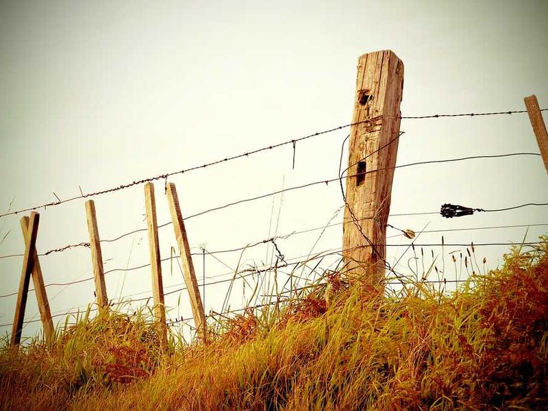 Quy định nhận thưởng xổ số - Thủ tục và hồ sơ cần thiết