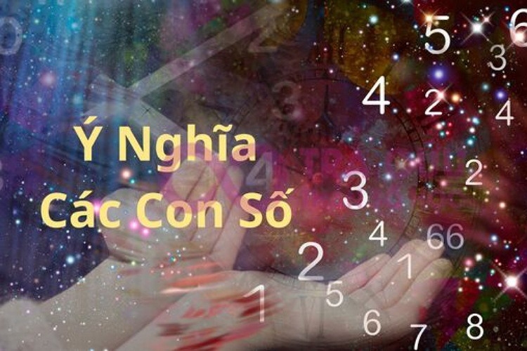 Nằm mơ thấy số 71 đánh con gì và đây có phải là dấu hiệu trực giác của bạn đang mạnh lên